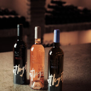 AMETHYSTOS WHITE, DOMAINE COSTA LAZARIDI - Image 2