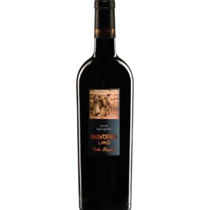 Oenotria Land Syrah-Agiorgitiko 2021 bio